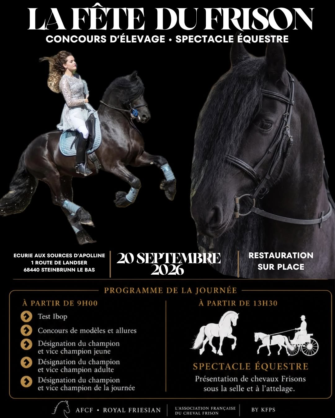 1ère Fête du Frison le 20 septembre  à l'Écurie aux sources d'Apolline à Steinbrunn-le-Bas episode artwork