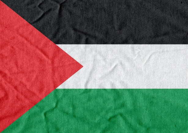 Flag of Palestine Gaza Strip Flag Themes Idea Design 1587110422lda