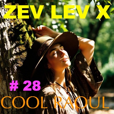 Cool Raoul 28 episode artwork