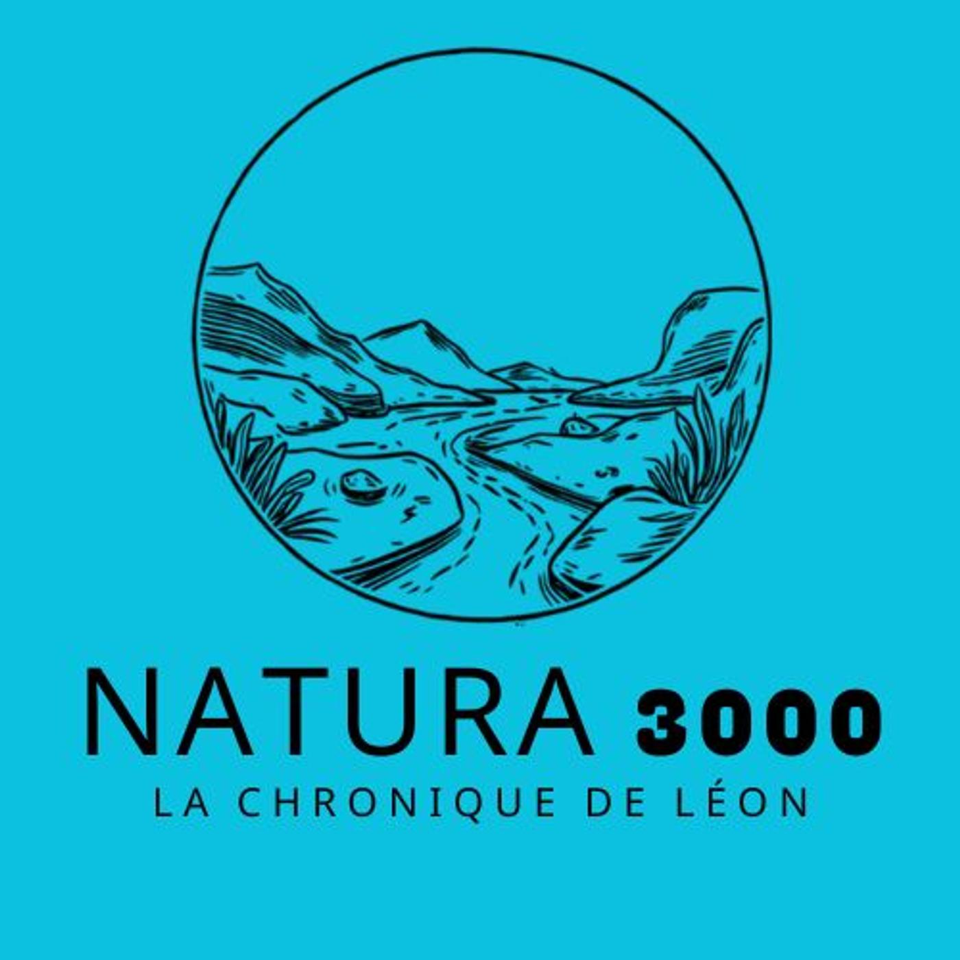 Natura 3000 - Les innondations episode artwork