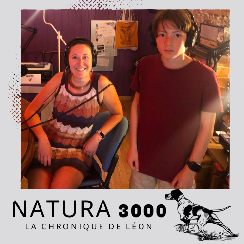 Natura 3000 - La Chasse : Avec Aurélie Poulet episode artwork