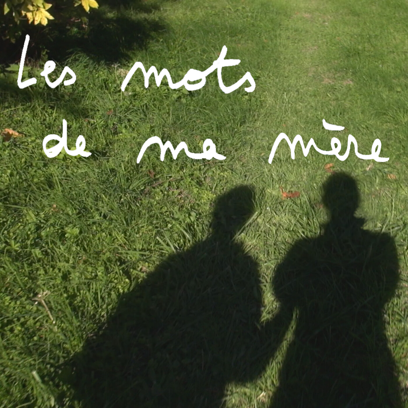 Bastien + Les mots de ma mère