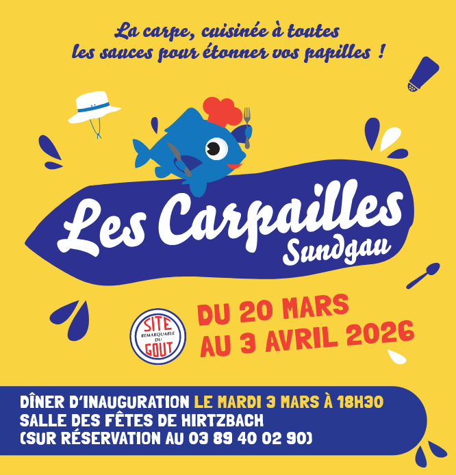 Capture D'écran 2026 02 22 185701