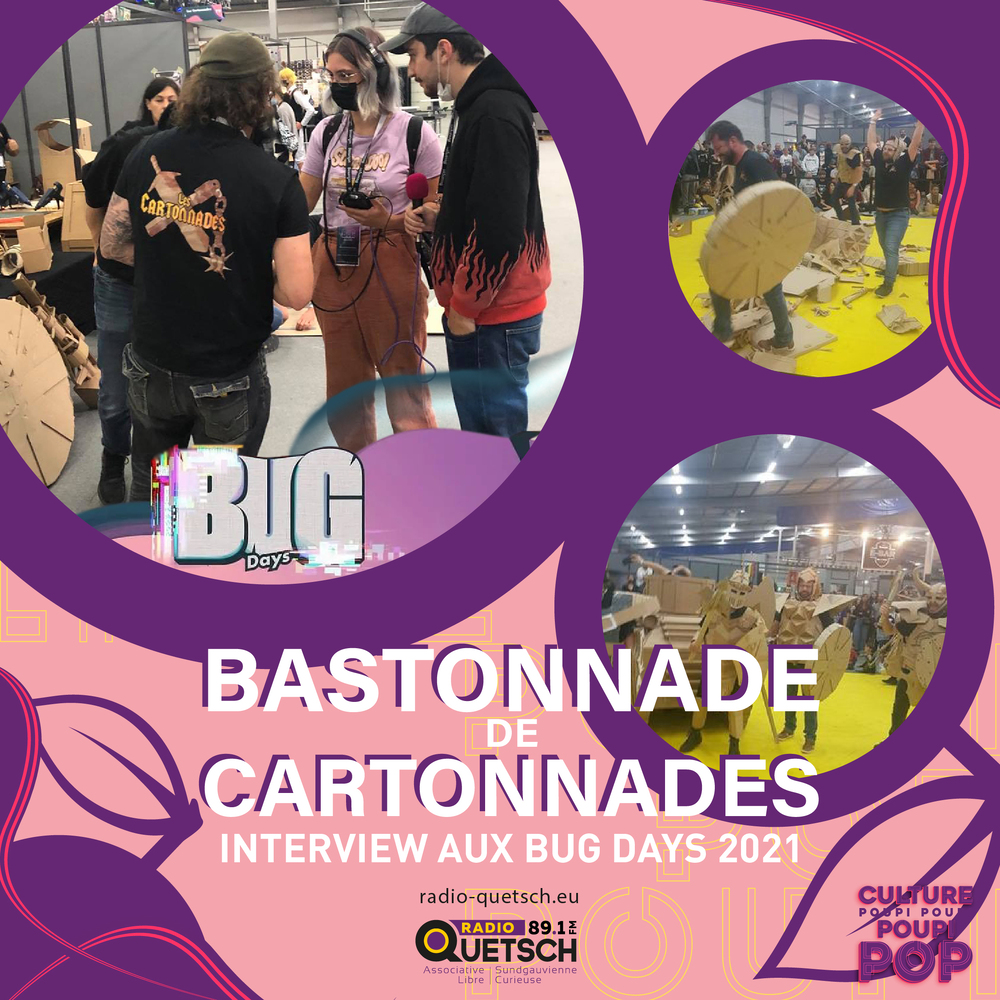 Bug Days - Bastonnade de Cartonnades - Interview et Combat episode artwork
