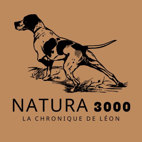 Natura 3000 : La Chasse avec Aurélie Poulet episode artwork