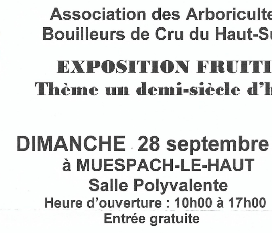 Fête et exposition fruitière - Dimanche 28 septembre à Muespach-le-haut  episode artwork